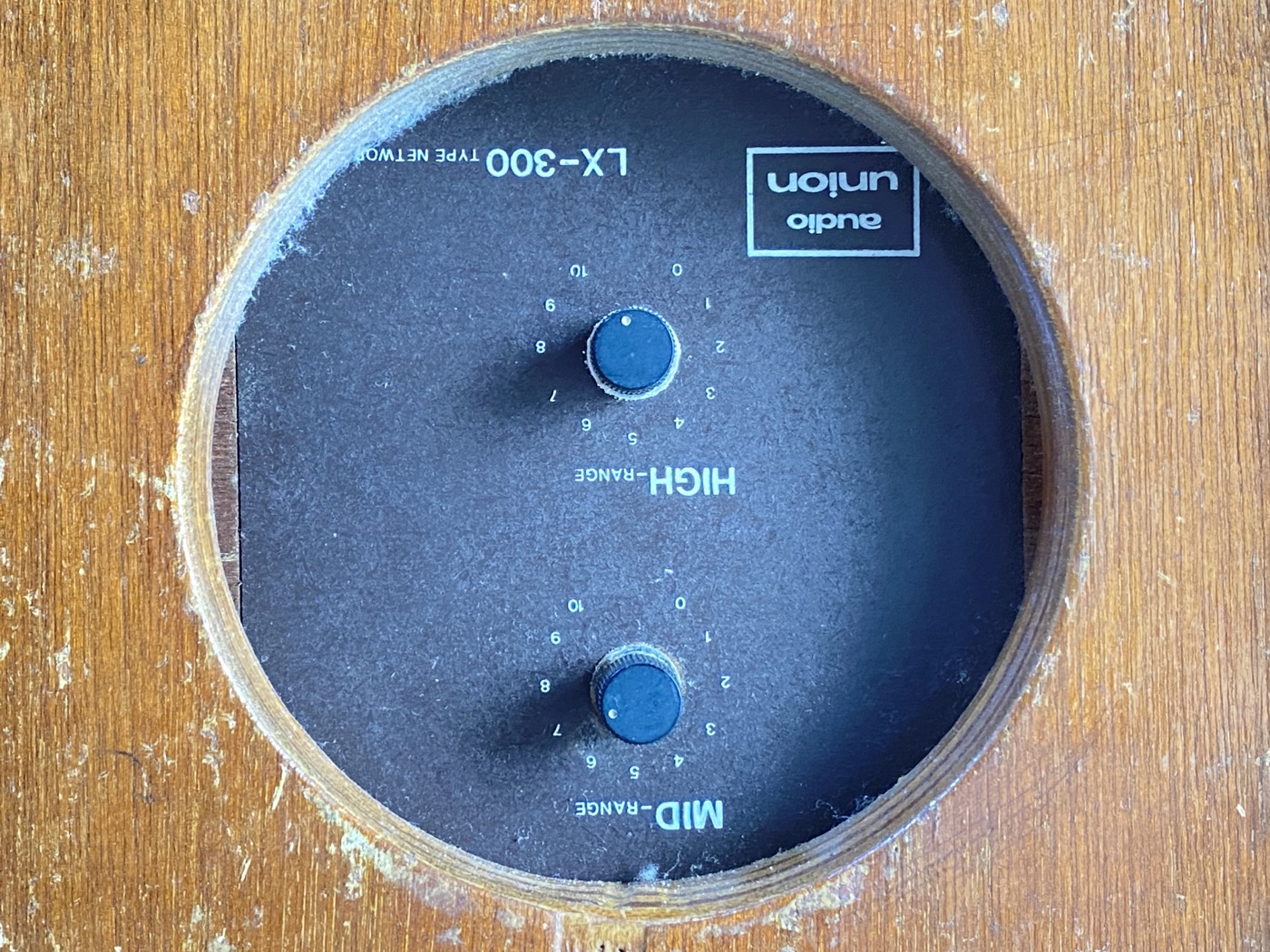 【中古・ジャンク】AUDIOUNION(JBL) LX-300 ネットワーク付きスピーカー - 画像 (7)
