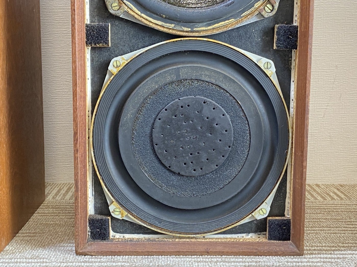 【中古】Celestion DITTON15 スピーカーペア - 画像 (6)
